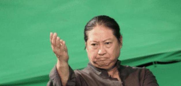 洪金宝武术_洪金宝与武术界的互动与发展_洪金宝担任武术指导的电影